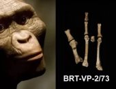 ليست فقط لوسى.. قدم غامضة عمرها 3.4 مليون سنة تكشف عن نوع بشري آخر