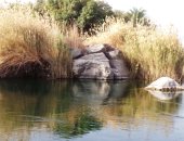 لوحات الجزر النيلية فى قلب أسوان سحر صاغته ملايين السنين.. مشاهد الصخور الجرانيتية تكشف أسرار تكوّن الجنوب وجماله الفريد.. رحلات النيل بوابة الزائرين لاكتشاف تاريخ الأرض بين خزان أسوان والسد العالى.. صور