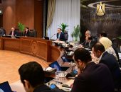 رئيس الوزراء: لا انتشار لفيروس غامض والمتواجد حاليا تطور للأنفلونزا