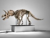 بيع هيكل ديناصور بمبلغ 5.4 مليون دولار في مزاد عالمى 
