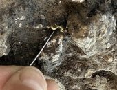 العثور على خاتم يونانى وكنوز ذهبية فى مقبرة رومانية نادرة فى فرنسا