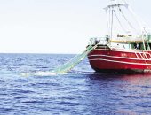 الحبس وغرامة تصل لـ500 ألف حال إعاقة أعمال الصيد بهذه الممارسات