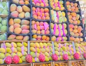 التفاح بكام؟.. أسعار الخضراوات والفاكهة فى محافظة قنا اليوم السبت