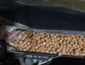 صينى يُفاجأ بتحول سيارته إلى مخزن بندق بسبب القوارض