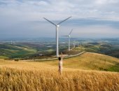 جرينبيس: مشاريع الهيدروجين الأخضر بشمال أفريقيا تواجه خطر التحول لـ مناطق تضحية خضراء