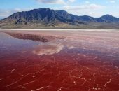 ألوان خيالية وحقائق صادمة.. بحيرات حول العالم تتغير ألوانها بسبب المعادن والكوارث البيئية.. السنغال تمتلك البحيرة الوردية.. كندا تتمتع بالمتغيرة.. آيسلندا صاحبة اللون الأخضر.. و«لاجونا» الحمراء في بوليفيا.. صور