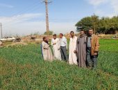 زراعة سوهاج تنفذ ندوة حقلية للبصل بمركز المنشاه للوقاية من الأمراض الفطرية