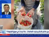 وزير الزراعة: ارتفاع أسعار الفراولة قريبا وزيادة الطلبات التصديرية بنسبة 25%