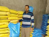 استلام وتوزيع تقاوى المرحلة الثانية من الحقول الإرشادية فى الفيوم