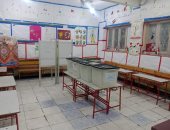 الجريدة الرسمية تنشر قرار إعادة انتخابات الدوائر الملغاة من الإدارية العليا 