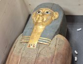 مصر تسترد قطعتين أثريتين من بلجيكا.. صور 