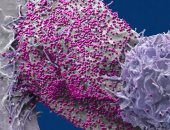 شفاء سابع شخص فى العالم من فيروس نقص المناعة البشرية