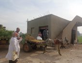 تحصين 256 ألف رأس ماشية فى الحملة القومية للتحصين ضد الحمى القلاعية بالدقهلية