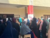 السيدات يتصدرن المشهد الانتخابي بمحافظة الفيوم