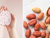 دراسة تكشف: الفول السودانى بقشره يعزز الذاكرة ويحسن تدفق الدم فى الدماغ