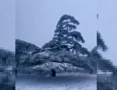 أمطار غزيرة وثلوج فى الجزائر والأرصاد تصدر تحذيرا باللون الأصفر.. فيديو