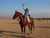 المرماح يشعل وديان بنبان.. أسوان تحتضن مهرجان الفروسية الشعبية