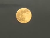 سبحان الخالق.. شاهدوا الآن القمر العملاق الأخير لعام 2025 فى مشهد خلاب