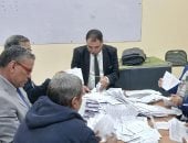 شاهد بالفيديو.. فرز الأصوات فى لجان الدوائر الملغاة بالمحافظات