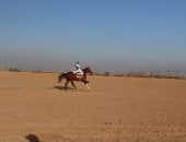 سباقات المرماح.. تراث شعبى متجذر عبر القرون فى صعيد مصر.. وديان بنبان بأسوان تتحول إلى مسرح للفروسية.. خيول القبائل تحافظ على التراث الإنسانى فى الجنوب.. والأهالى: السباق هدفه غرس قيم الأصالة والتنافس.. صور