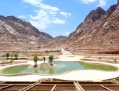 مشروع التجلى الأعظم يفوز بالجائزة الأولى فى مؤتمر الشرق الأوسط للاند سكيب