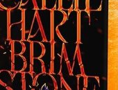 ماذا يقرأ الغرب؟.. الروايات الأكثر مبيعًا بقائمة نيويورك تايمز