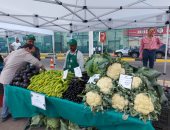 تعرف على أماكن تنظيم سوق اليوم الواحد بأحياء الإسكندرية على مدار الأسبوع