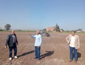 وكيل زراعة كفر الشيخ: زراعة قمح بالسطارة على مصاطب يزيد إنتاجية الفدان بنسبة 25% 