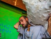 صورة اليوم.. الرزق يحب الخفية والشيلة التقيلة تغنى عن سؤال اللئيم