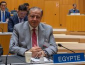 مصر تشارك فى أعمال دورة حق المؤلف والحقوق المجاورة بالويبو فى جنيف