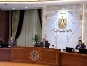مجلس الوزراء يعلن تفعيل آليات التصدى للشائعات واتخاذ إجراءات قانونية ضد ناشريها