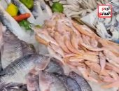 جولة داخل سوق السمك.. البربونى بـ130 جنيها والمرجان والكابوريا بـ100 جنيه