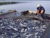 القانون يحدد شروط استخراج تراخيص الصيد.. تعرف عليها