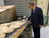 ضبط نصف طن لحم مفروم ضمن 158 مخالفة خلال ثلاثة أيام بأسواق الدقهلية