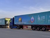التحالف الوطنى يسيّر 19 شاحنة ألبان أطفال بوزن 9.5 طن إلى قطاع غزة