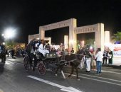 أسوان تشدد على تركيب حفاضات للأحصنة ضمن منظومة ضبط عمل الحنطور