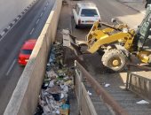 الوحدات المحلية بالإسماعيلية تواصل أعمالها في رفع 6287 طن مخلفات خلال أسبوع