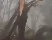 انقطاع الكهرباء عن 4 ملايين شخص فى ساو باولو بالبرازيل.. فيديو