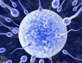 متبرع حيوانات منوية يضع 14 دولة أوروبية فى مأزق.. اعرف القصة