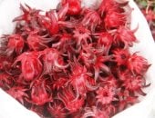 فوائد الكركديه على مائدة إفطار رمضان