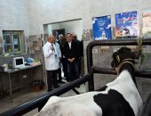 رئيس الوزراء يتفقد الوحدة البيطرية لقرية نوى ضمن مشروعات حياة كريمة بالقليوبية