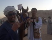 مضمار سباق بلانة بأسوان.. مرماح الشيخ عامر وعمران يستقطب الخيالة من أنحاء الصعيد.. فيديو