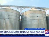 خبير: الدولة تستهدف وصول السعة التخزينية للقمح لـ6 ملايين طن