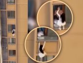 سيدة تتسلق ناطحة سحاب بملابس النوم هربًا من زوجة عشيقها.. نفدت بجلدها