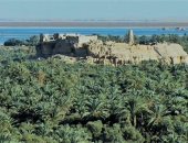 واحة سيوة.. كنز الصحراء الغربية وأيقونة السياحة الشتوية.. ارتفاع نسب حجوزات الفنادق والمنتجعات خلال أعياد الكريسماس وإجازة نصف العام.. وتنوع المقاصد الطبيعية والثقافية ورحلات السفارى تجذب هواة المغامرة.. صور