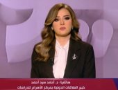 خبير علاقات دولية: التنسيق المصرى السعودى صمام أمان لدفع مسار التهدئة بغزة