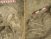 جمجمة شاب تكشف عن هجوم وحشى لأسد قبل 6200 عام..اعرف قصته