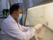 صحف عالمية تشيد بمشروع صندوق أبحاث سامح سمير على