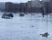 ارتفاع عدد قتلى فيضانات إقليم آسفى فى المغرب إلى 21 شخصا