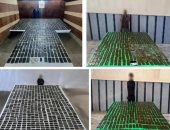 مقتل عنصر شديد الخطورة وضبط مخدرات بـ100 مليون جنيه